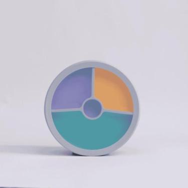 Imagem de Prato Infantil Silicone com 4 Divisórias e Tampa com Visor Petit Piá