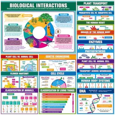 Imagem de 17 pôsteres laminados de biologia, sistema do corpo humano, anatomia celular, DNA, fotossíntese, gráficos de ciências educacionais para ensino fundamental e médio, ferramenta de aprendizagem para sala