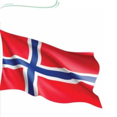 Imagem de Bandeira Noruega 1,50x0,90mt Copa do Mundo - Clink