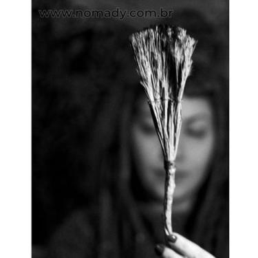 Imagem de Vassoura de Bruxa para Altar - Cabo de Canela em Rama - NoBrand