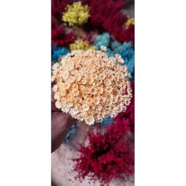 Imagem de Flores Sempre Viva Secas para Decoração – Kit 300 a 2100 Unidades Ideal para Festa Casamento e Arranjos (Champanhe,5 buquês)