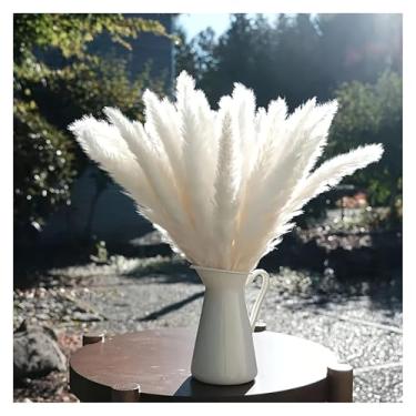 Imagem de Decoração de casa 30 peças de grama dos pampas, decoração de ramo de grama seca natural, decoração de casa, decoração de quarto, decoração de vaso faça você mesmo, flor artificial (branca)