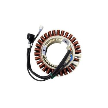 Imagem de Estator para Gerador D12000iE - (ZS) - DJI