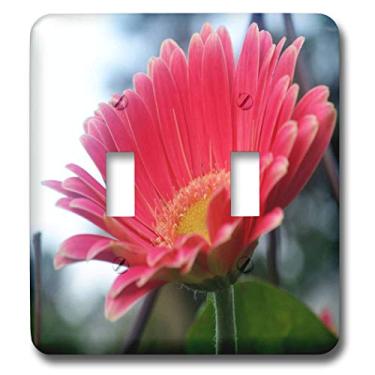 Imagem de 3dRose LLC lsp_22385_2 Margarida Gerbera New Growth, interruptor duplo