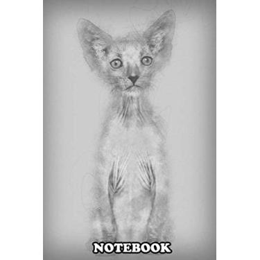 Imagem de Notebook: Kitten Lykoi Cat 7 Weeks Old Also Called The Werewolf C , Journal for Writing, College Ruled Size 6" x 9", 110 Pages