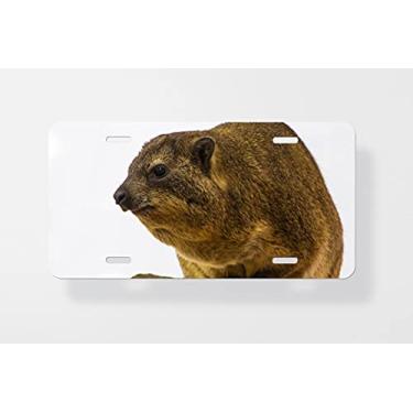 Imagem de Capa para placa de licença Dassie Rock Hyrax Procavia Capensis On Cliffs at Hermanus – Capa para placa de carro – Capa para placa de carro 15 x 30 cm
