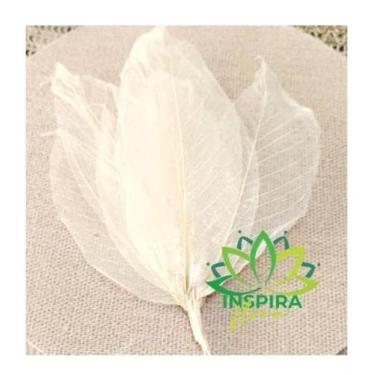 Imagem de Folha De Magnolia Esqueletizada Folhagem Pingente Natural - FLORA FULL