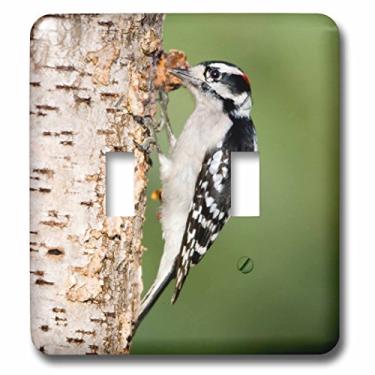 Imagem de 3dRose Lsp_205674_2 Pica-pau na árvore de bétula com videira amarga, Marion Co IL Interruptor de interruptor duplo