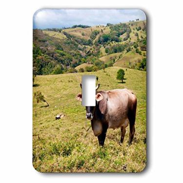 Imagem de 3dRose (lsp_229298_1) Interruptor único alimentado com grama gado brahman, Costa Rica