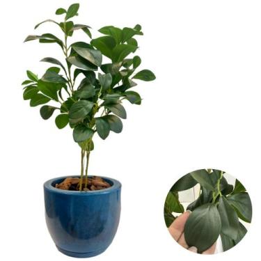 Imagem de Folhagem Artificial De Laranjeira Com Vaso Bojo Completo - PlantaImpor