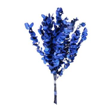 Imagem de Eucalipto Azul Desidratado p/ Decoração - Tem Flores
