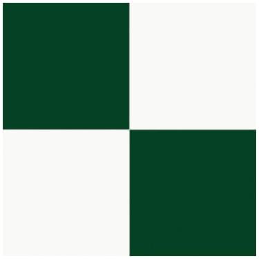 Imagem de MORCART Retire e cole azulejos de piso de vinil autoadesivo: quadrado verde branco 20 cm x 20 cm 20 peças adesivo de azulejo à prova d'água e removível para cozinha, banheiro, escada FT-1729