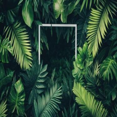 Imagem de Quadro Decorativo de Folhagem Verde com Moldura para Sala Quarto e Escritório 50x50cm