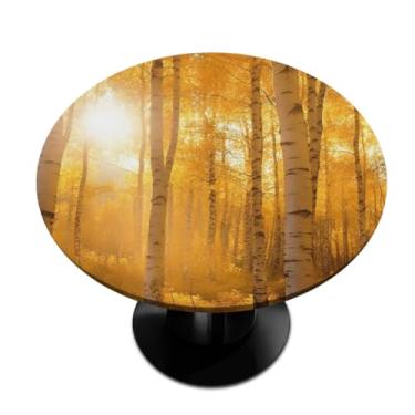 Imagem de hongjinglin Toalha de mesa redonda com borda elástica floresta dourada outono toalha de mesa redonda limpa para ambientes internos e externos, pátio, sala de jantar, cozinha, decoração para mesas de