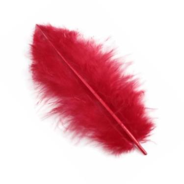 Imagem de Pena 15 cm cor vermelho cartela c/10 unidades - CARRETEL