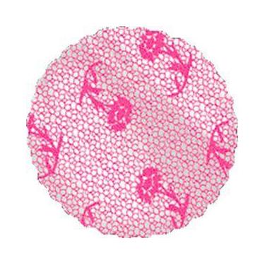 Imagem de 100 Fundo Tapetinho para Forminha de Docinho Nº7 - AAZ, Pink