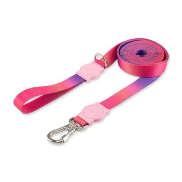 Imagem de Dog Trip Brasil Coleira Guia 10 Metros Para Cães Cachorro Adestramento Passeio Porte Grande Médio Pequeno (G, Peniche)