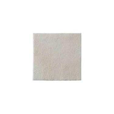 Imagem de Curativo Hidrofibra Alginato de Cálcio C/Prata -10x10 - Biatain Ag - C