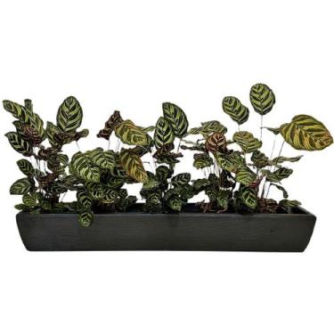 Imagem de Jardineira Viena Para Plantas 100x14cm Floreira Polietileno - Alpe & A