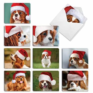 Imagem de The Best Card Company - 20 adoráveis cartões de Natal (10 x 13 cm) - saudações de cachorrinho em massa, sortidos (10 desenhos, 2 cada) - Cativante Cavalier King Charles AM6831XSG-B2x10