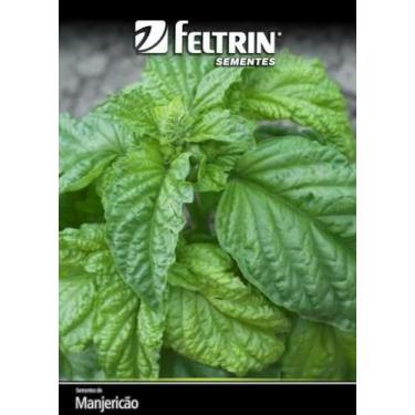 Imagem de Sementes Manjericao Dante(Albahaca Basil) - contém 100 miligrama - Fel