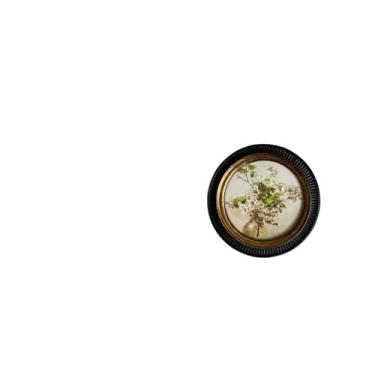 Imagem de Fenteer Escultura de Cavalo Dalecarliano E Moldura de Resina em Estilo Europeu, Ornamento Decorativo Antigo para Estante, Quarto, Parede Ou Decoração D