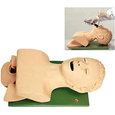Imagem de Modelo de ensino, Manequim de intubação PVC - Manequim de intubação nasal oral com dispositivo de alarme dentário Gerenciamento de vias aéreas para ensino de treinamento médico de enfermagem