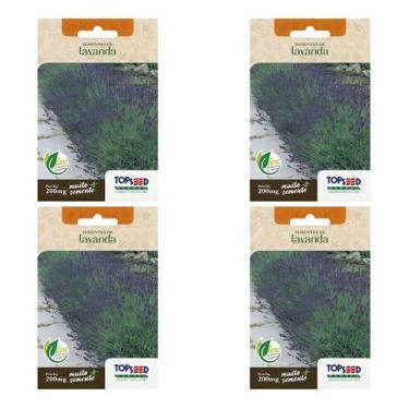 Imagem de Kit 4 Sementes De Lavanda Alfazema Para Mudas Alta Germinação E Produç