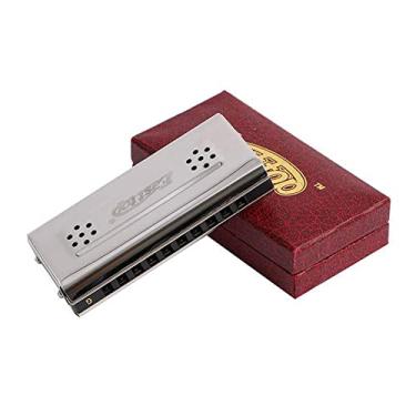 Imagem de Palhetas selecionadas, 10 furos, gaita dupla face, dupla face, gaita polifônica avançada em tom G para iniciantes, adultos e estudantes com caixa de madeira (10 furos)