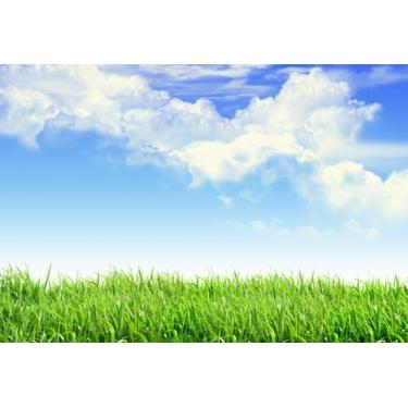 Imagem de AOFOTO 2,1 x 1,5 m, céu azul e prado de primavera, gramado, gramado, fotografia ao ar livre, cenário de natureza, amantes, crianças, bebê, adulto, menino, menina, retrato esportivo, estúdio, papel de