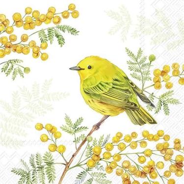 Imagem de Guardanapo para Decoupage Ihr 33x33 Flore Alegria Primavera C/ 20 Unid