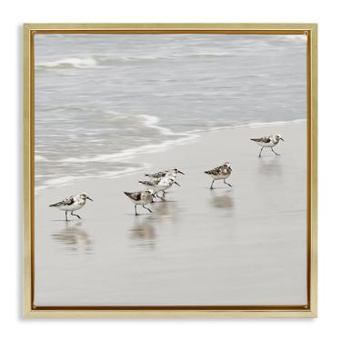 Imagem de Stupell Industries Arte de parede em tela flutuante com moldura dourada Pássaros Sandpiper Scurrying por Natalie Carpentieri, 25 x 25