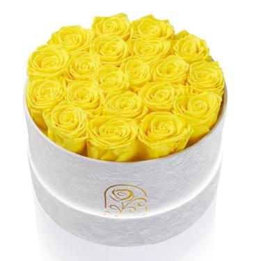 Imagem de Presentes para mulheres, caixa de flores de rosas preservadas, caixa de veludo de luxo com 20 rosas, flores preservadas, presente romântico para ela, esposa, namorada, aniversário, aniversário de