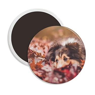 Imagem de Ímã de geladeira redondo de cerâmica com folha de animal de estimação, decoração de lembrança