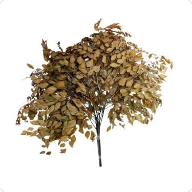 Imagem de Buquê Avenca Cor Laranja Terracota Natural Decoração Arranjo Desidrata