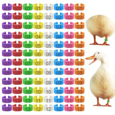 Imagem de 96 peças de faixas de perna de identificação de pato de 20 mm com 8 cores, etiquetas de tornozelo de pato de galinha, anéis de pé de perna de aves domésticas para patos, galinha, ganso da índia,