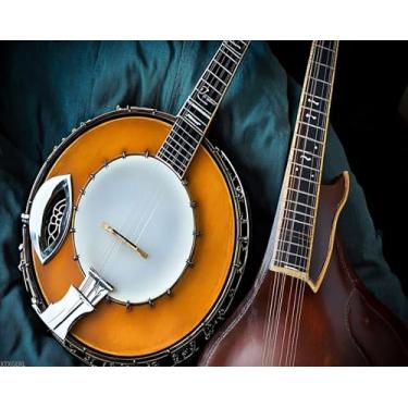 Imagem de XTXGERL Kit de pintura por números para adultos iniciantes bluegrass bandolim banjo DIY pintura sem moldura por números pintura a óleo acrílica para decoração de casa presentes 40,6 cm x 50,8 cm