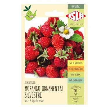 Imagem de Kit Semente de Morango Ornamental Silvestre Isla 0.05g + Semente de Grama Félix 1g