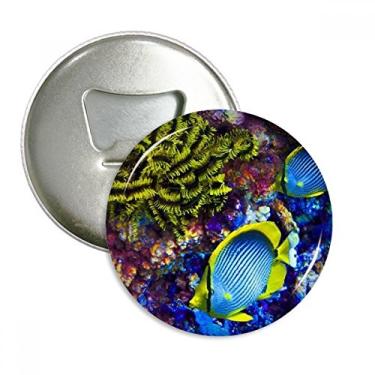 Imagem de Ocean Colorful Fish Science Nature Picture Abridor de garrafas ímã de geladeira emblema multifuncional