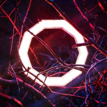 Imagem de Reflections [Disco de Vinil]