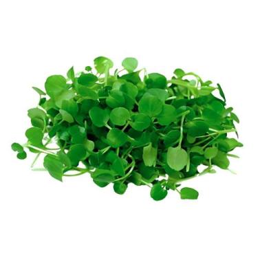 Imagem de Kit Semente Agrião da Água Horta Inteligente HidroGarden