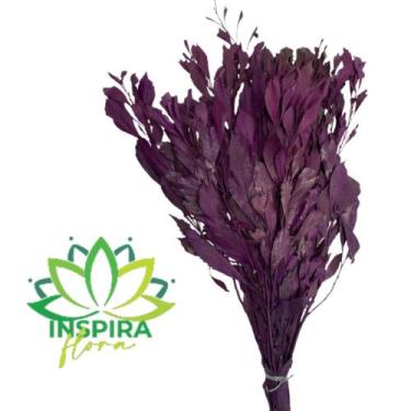 Imagem de Folhagem Carne de Vaca - Inspira Flora, Roxo