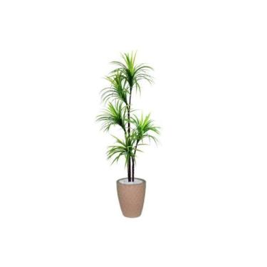 Imagem de Planta Artificial Para Sala Árvore Yucca 1,60m Kit + Vaso E. Bege 32cm