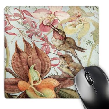 Imagem de 3dRose Mouse pad 20,3 x 20,3 x 0,63 cm, Catasetum e Cypridediums de Edward J. Detmold Orchid e Beija-flores (mp_126456_1)