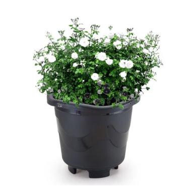 Imagem de Vaso Redondo Pequeno Preto 2 litros Planta Flor Casa Jardim Decorativo