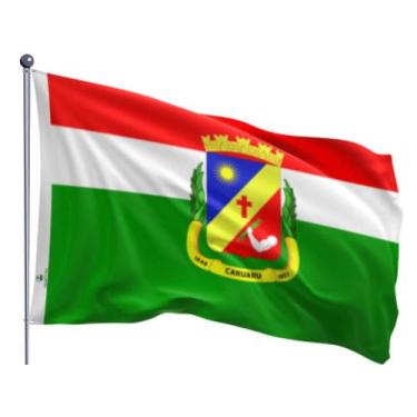 Imagem de Bandeira do Município de Caruaru Uma Face Estampada Tamanho 70x100cm -