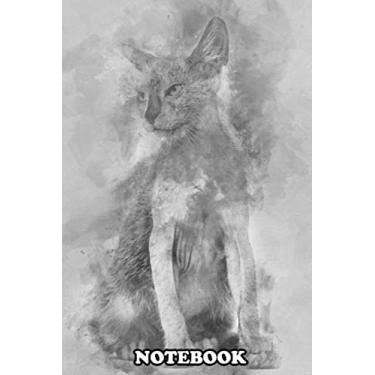 Imagem de Notebook: Kitten Lykoi Cat 3 Months Old Also Called The Werewolf , Journal for Writing, College Ruled Size 6" x 9", 110 Pages