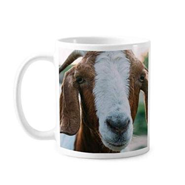 Imagem de Caneca de cerâmica para fotografia de animais de ovelhas com organismo terrestre cerâmica xícara de porcelana de café louça