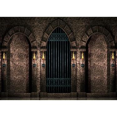 Imagem de BELECO 2,4 m x 1,8 m Tecido Castelo Gótico Fotografia Pano de Fundo Arcos de Parede de Pedra Antiga Portões de Ferro Tochas Corredor da Prisão Fundo de Noite de Halloween Castelo Medieval Decorações de Festa de Aniversário Adereços para Fotos