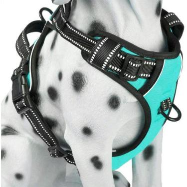 Imagem de Colete confortável refletivo para cães PolyPet, azul menta - PoyPet